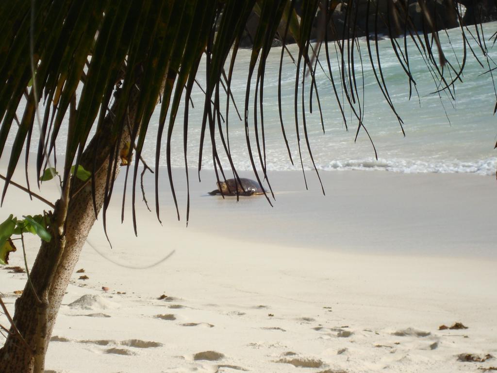 Villa Belle Plage Anse Kerlan  Luaran gambar
